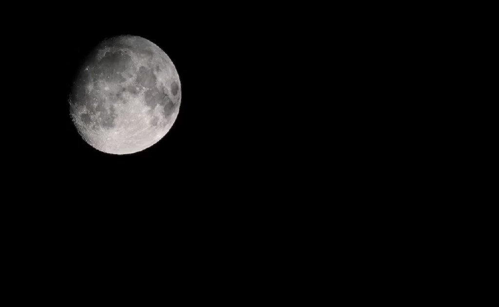 Antisipasi Kepunahan, Ilmuwan Usulkan Kirim Sel Beku Hewan Langka ke&nbsp;Bulan